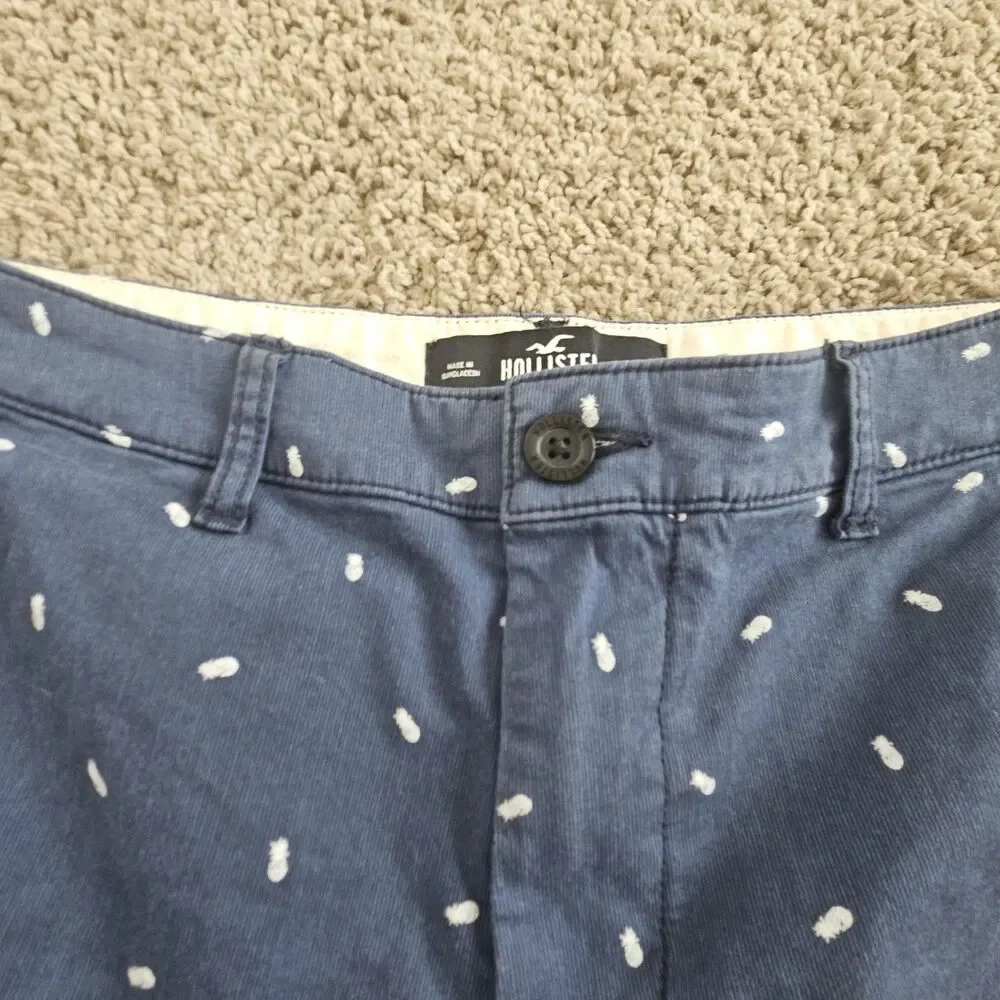 Hollister Flat Front Shorts Epic Flex Shorts Men's Size 32 Pineapple Preppy 7